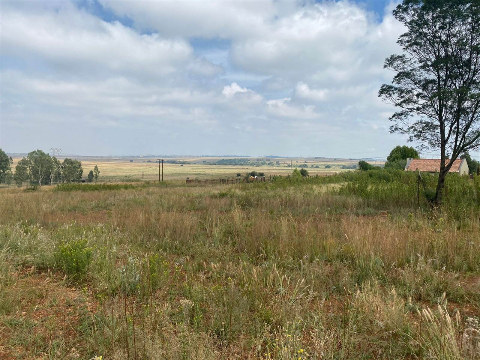 1 ha Land available in Grootfontein Estate photo number 8