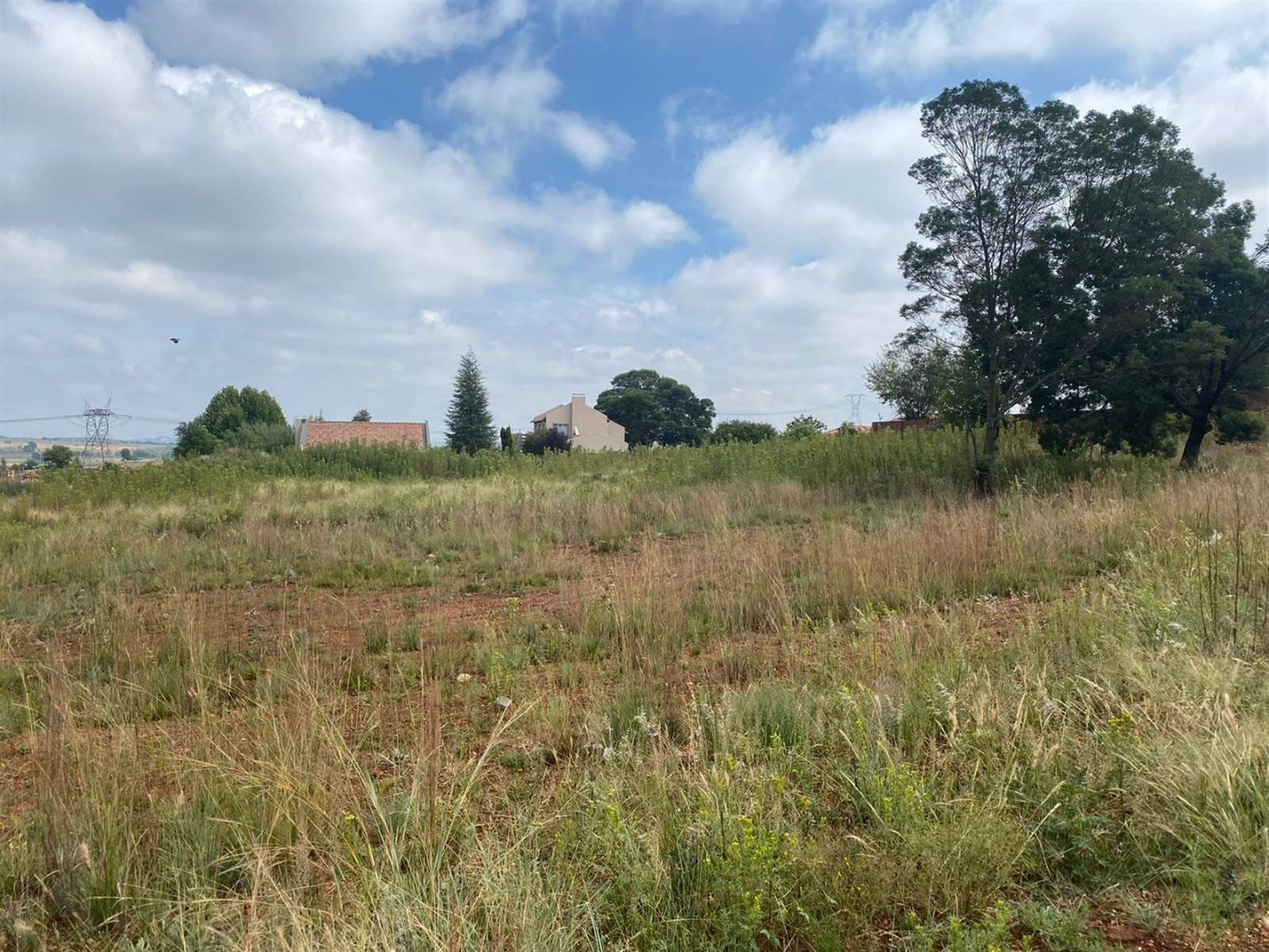 1 ha Land available in Grootfontein Estate photo number 10