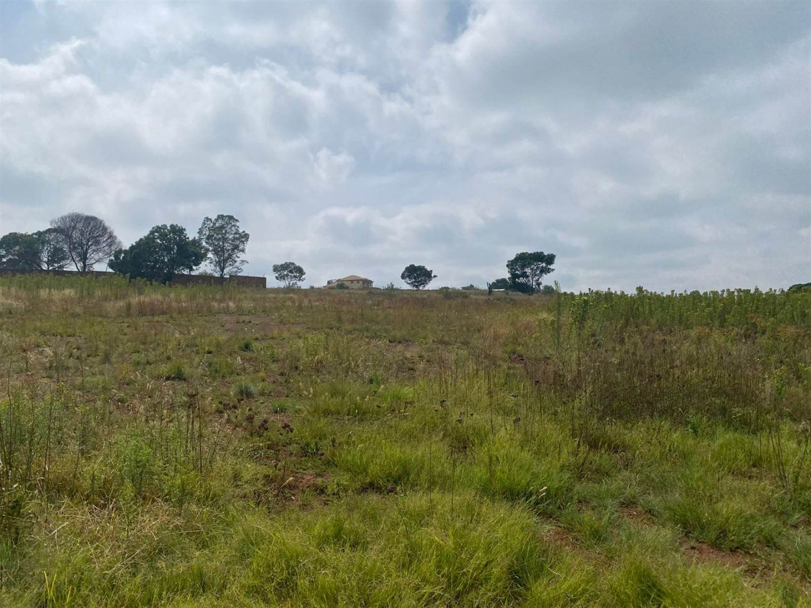 1 ha Land available in Grootfontein Estate photo number 6
