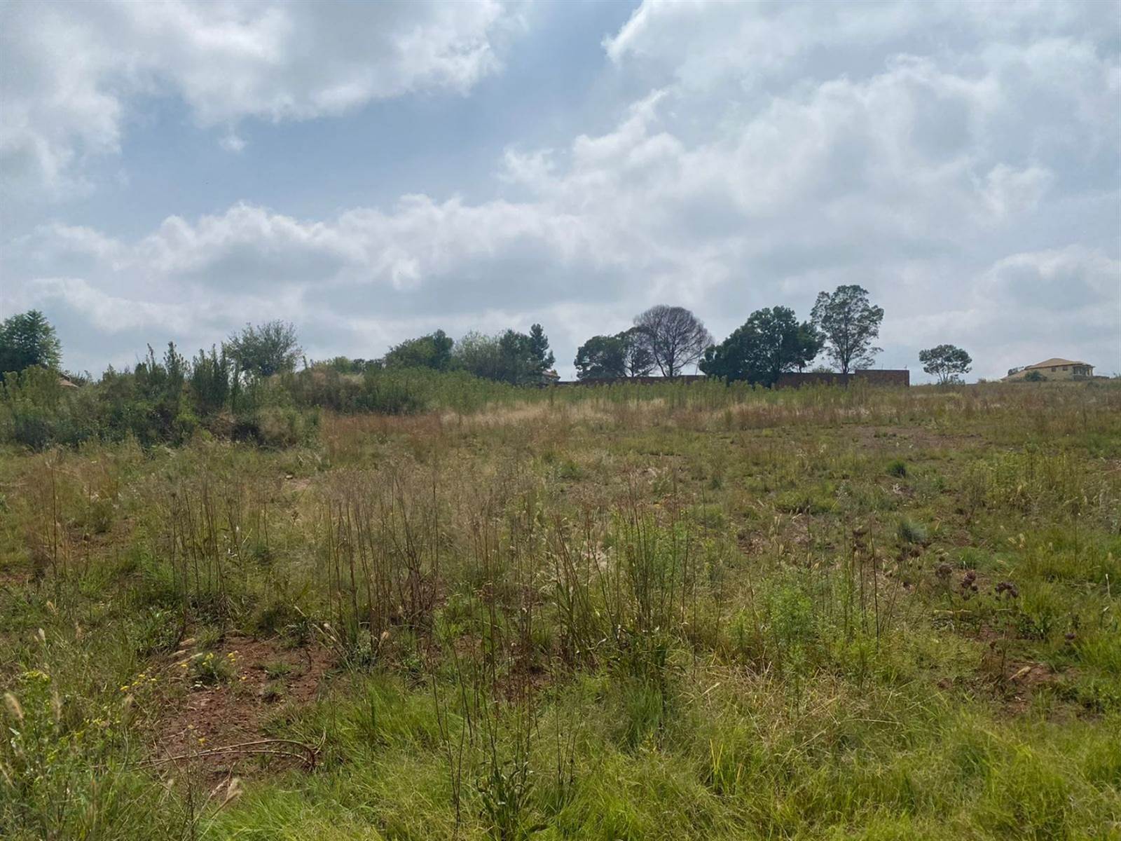 1 ha Land available in Grootfontein Estate photo number 4