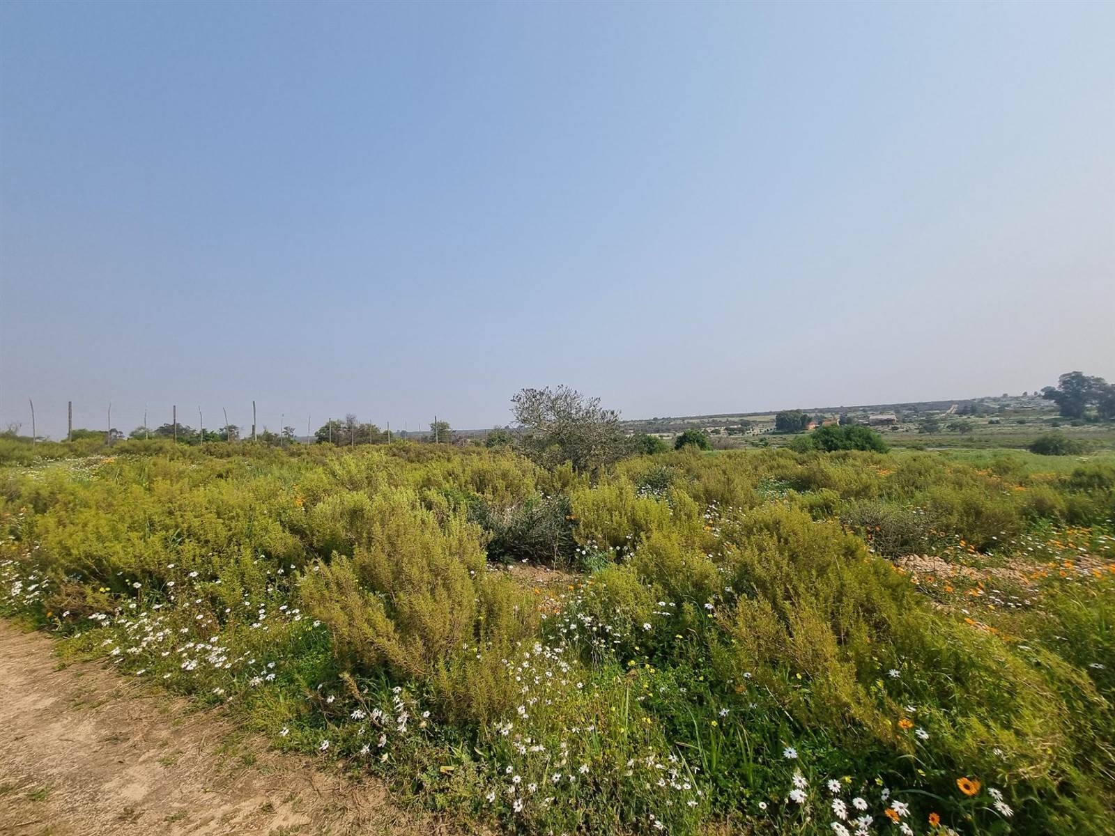 1.2 ha Land available in Hopefield photo number 5