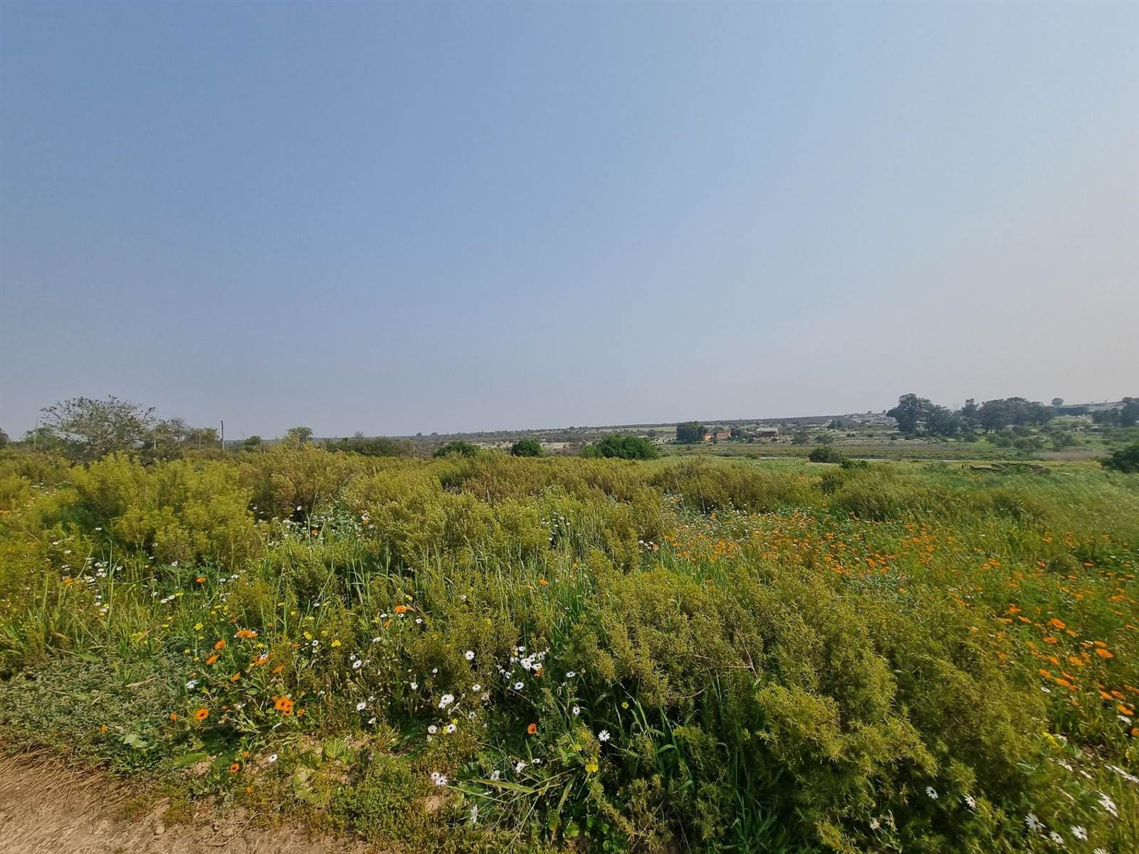 1.2 ha Land available in Hopefield photo number 3