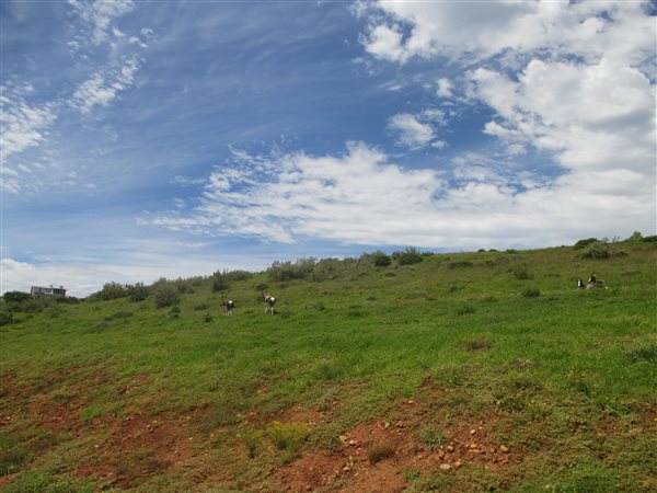 1330 m² Land available in Mossel Bay Central