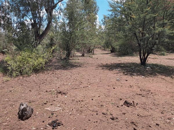 1232 m² Land available in Parys