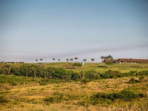 434 m² Land available in Sheffield Beach