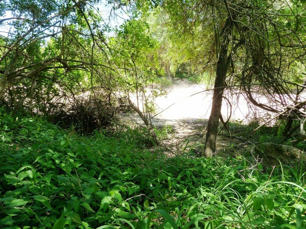 1 ha Land available in Moditlo Nature Reserve photo number 16
