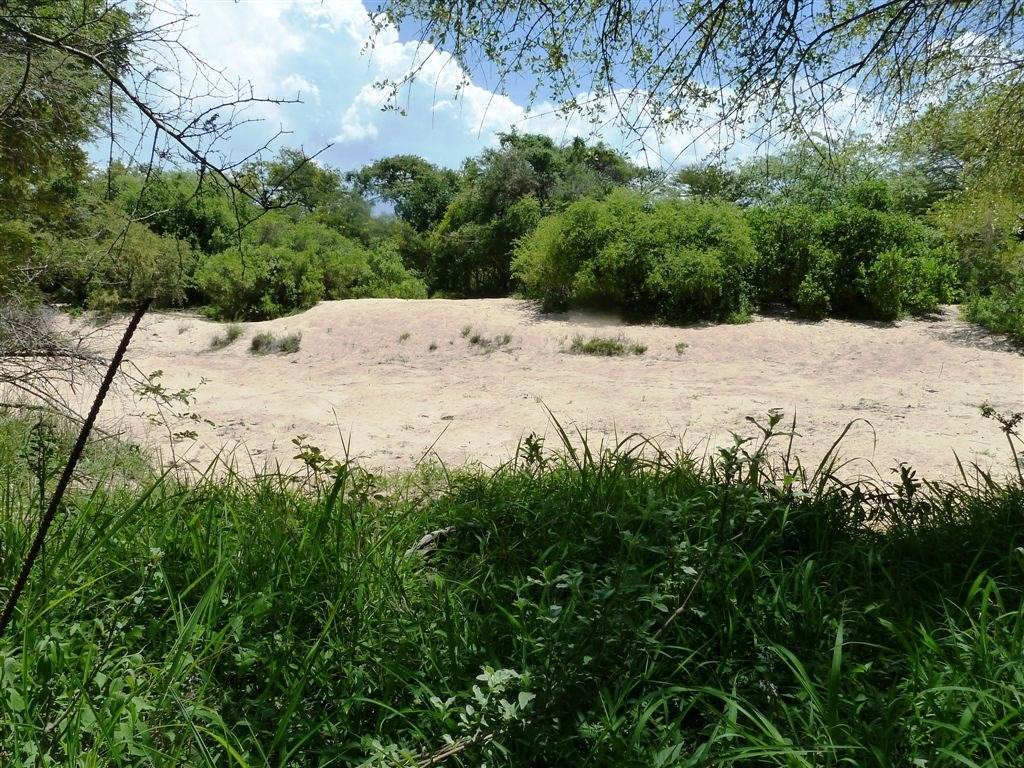 1 ha Land available in Moditlo Nature Reserve photo number 14