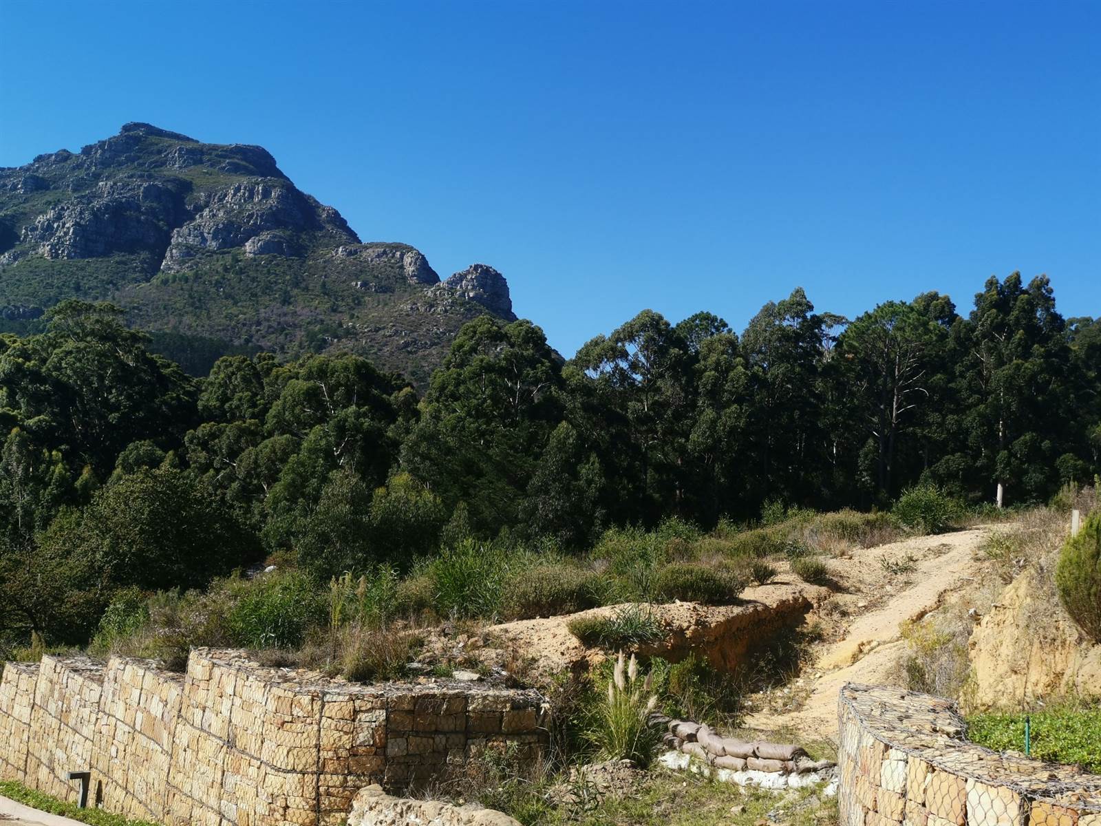 1378 m² Land available in Constantia Nek Estate photo number 4