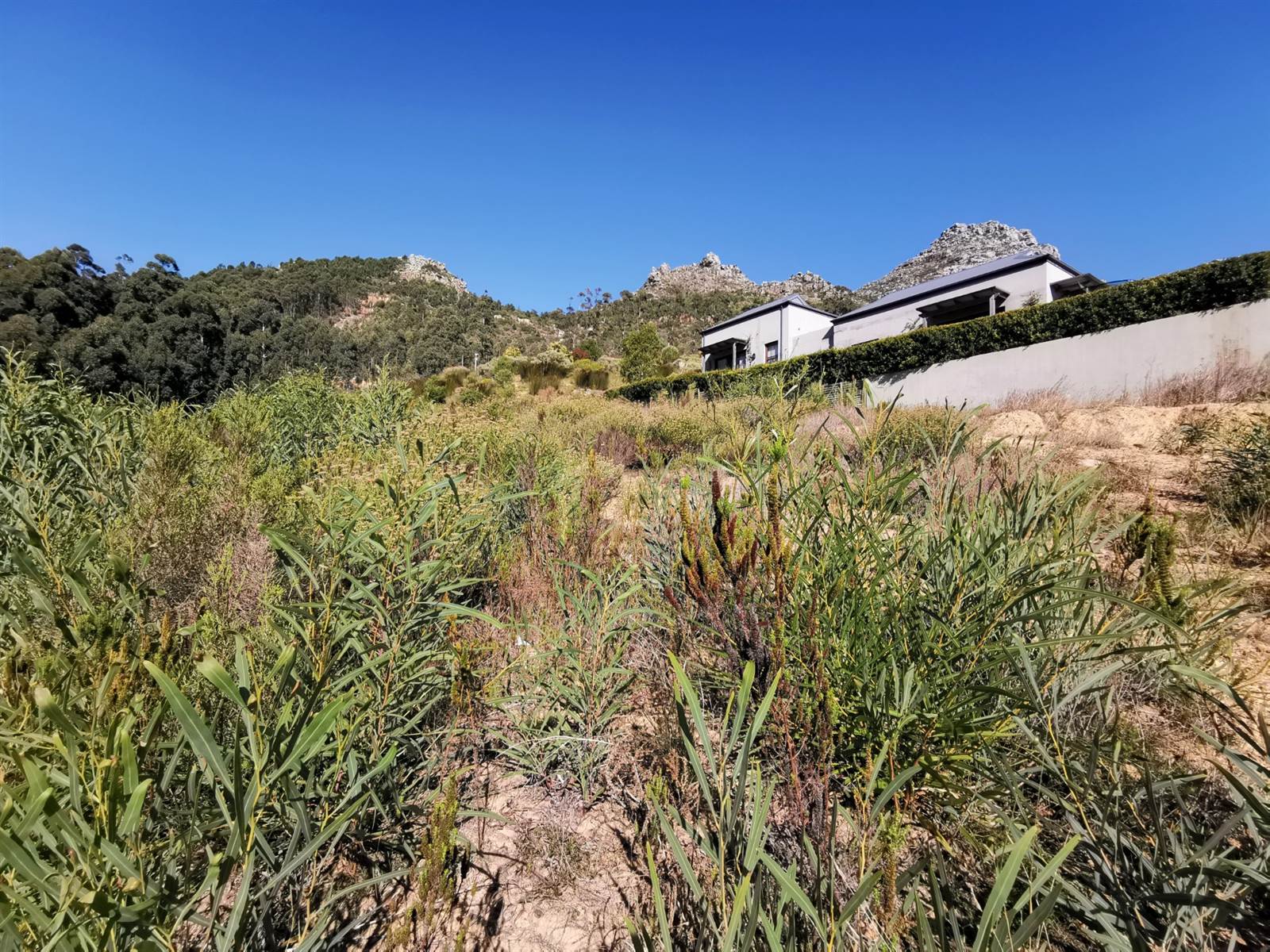 1378 m² Land available in Constantia Nek Estate photo number 7