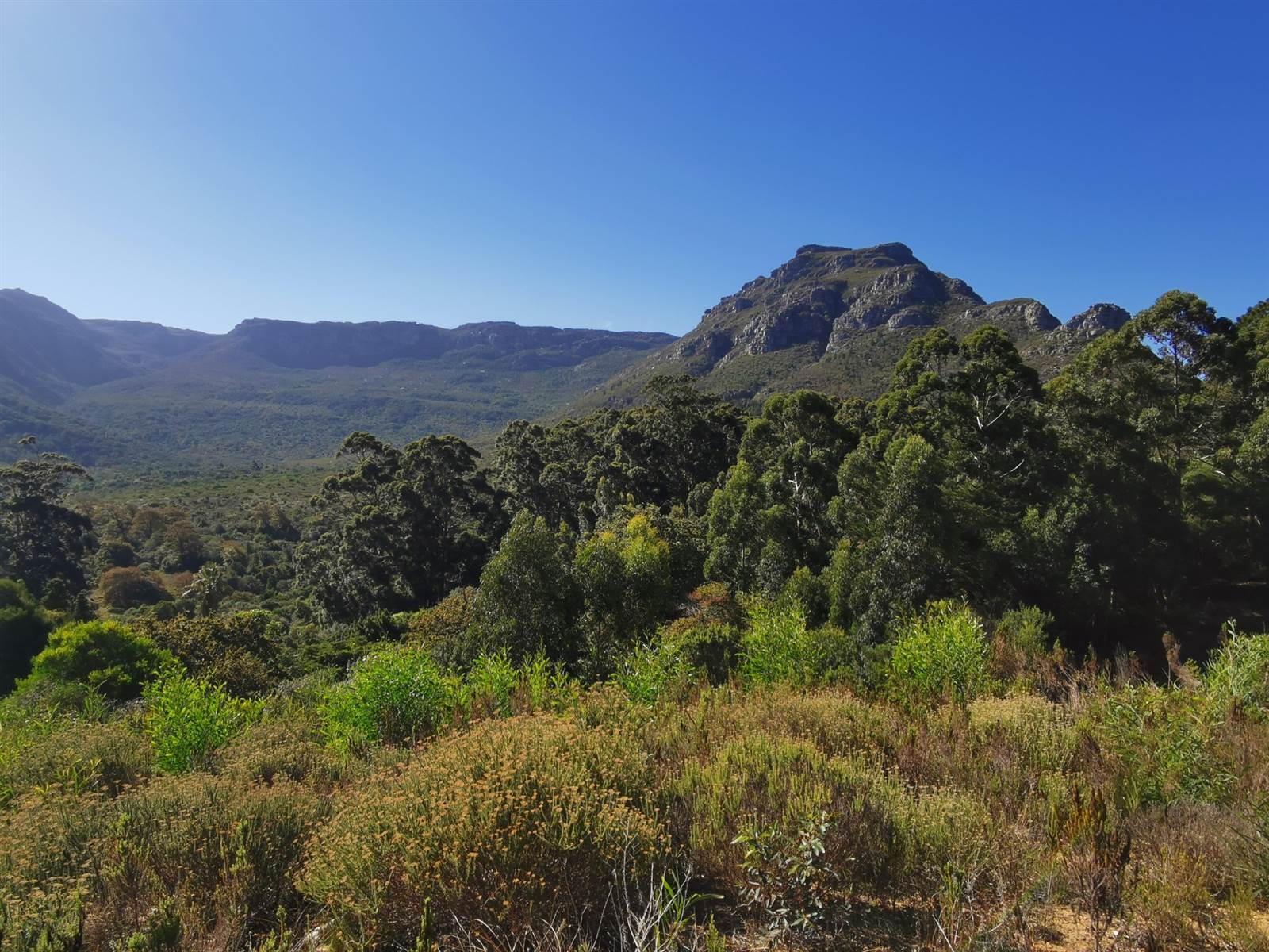 1378 m² Land available in Constantia Nek Estate photo number 9
