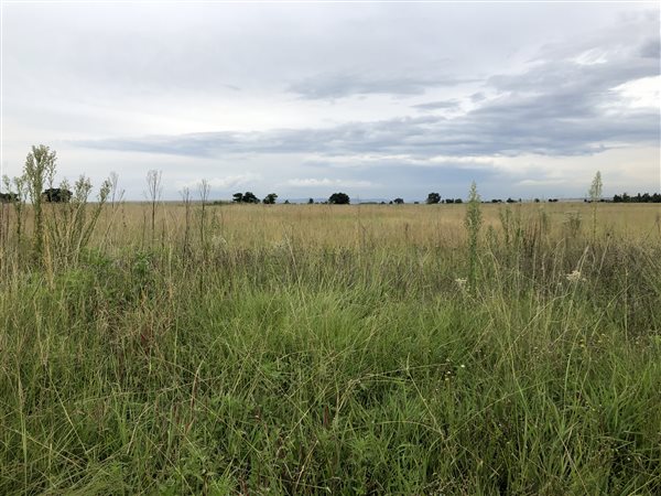 4 ha Land available in Withok Estates