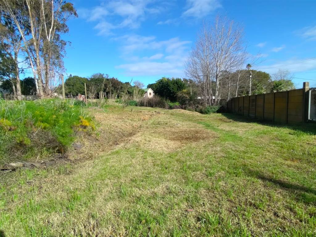 1537 m² Land available in Albertinia photo number 3
