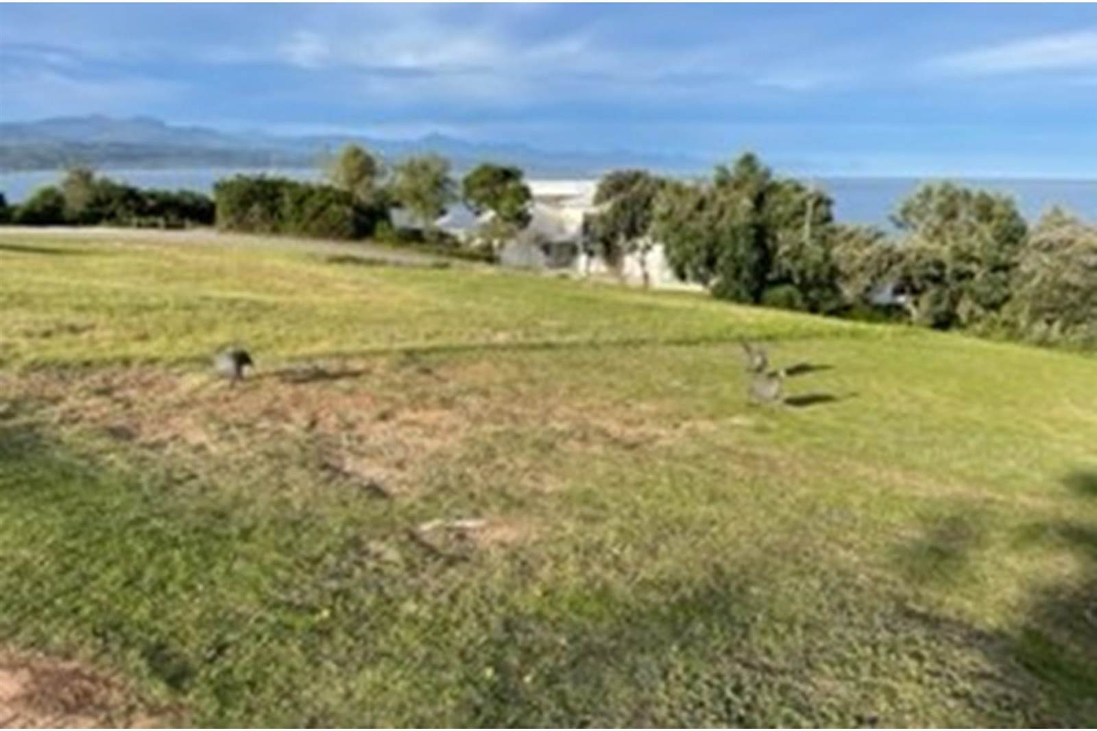 718 m² Land available in Plettenberg Bay photo number 8