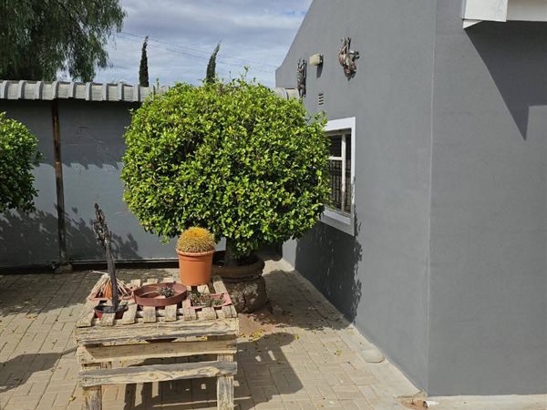 3 Bedroom House 3 Bedroom House