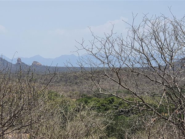 2 472 m² Land 2 472 m² Land