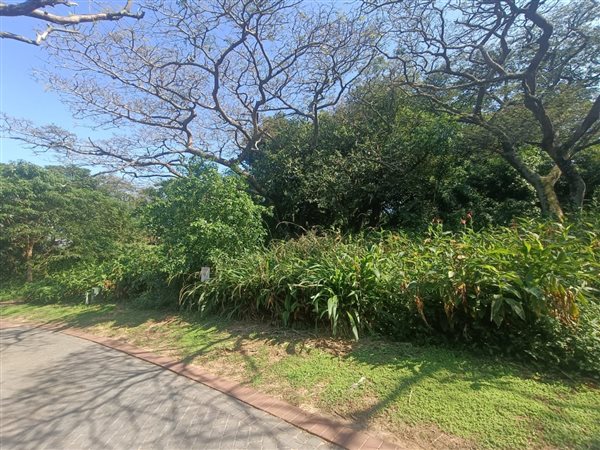 1462 m² Land available in Sheffield Beach