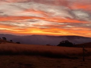 16 ha Land available in Byrne Valley