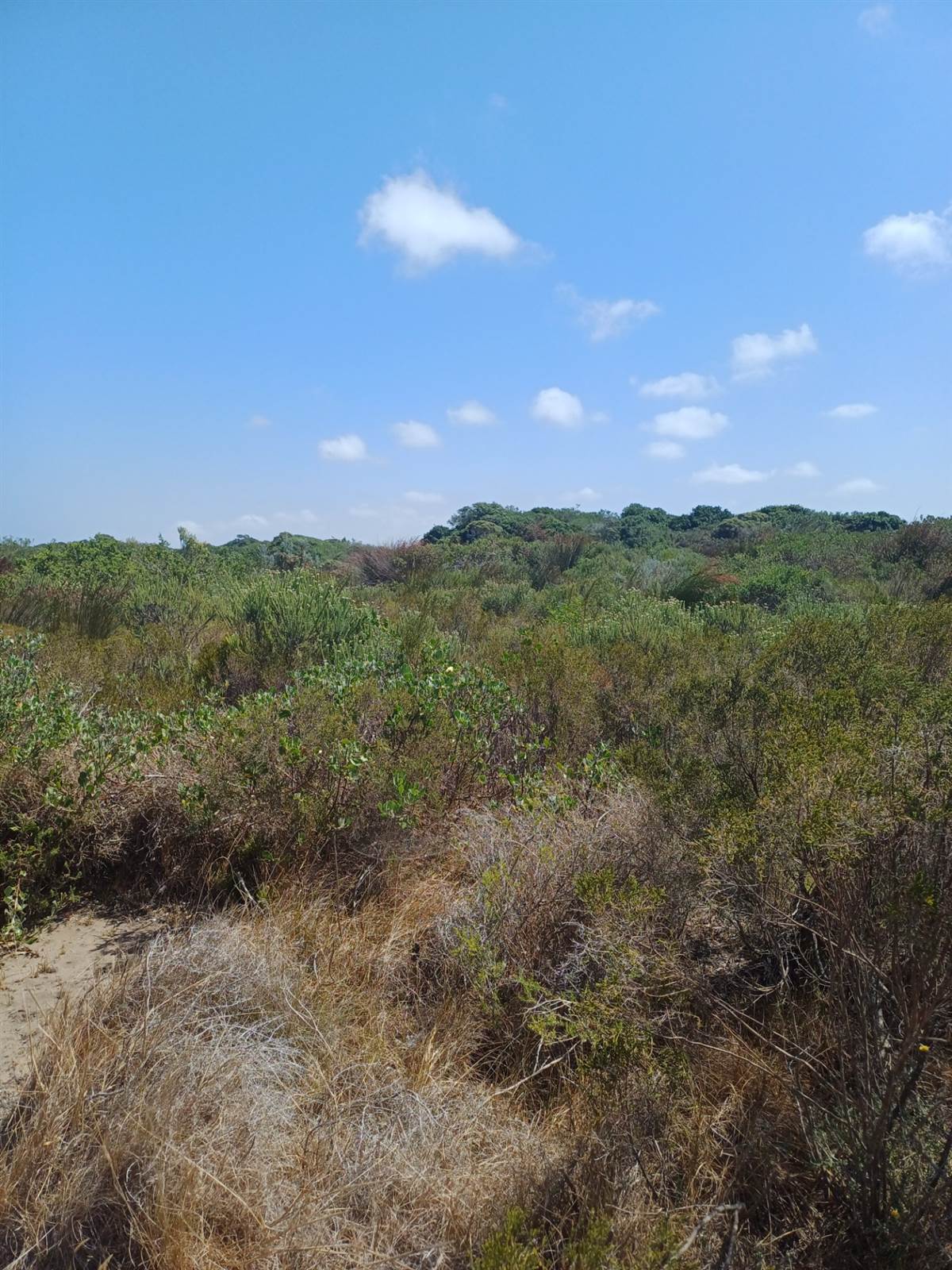 1120 m² Land available in St Francis Links photo number 3