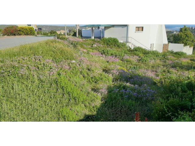 778 m² Land available in Stilbaai photo number 6