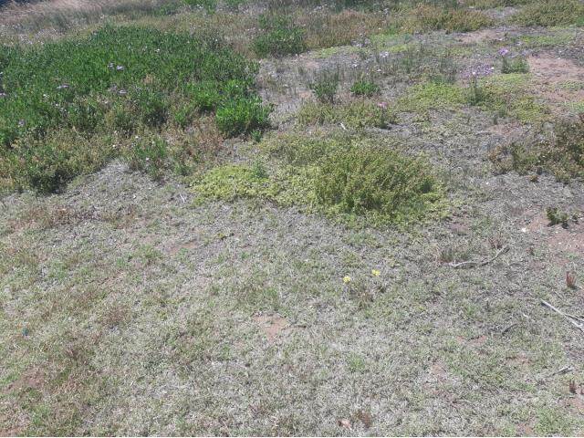 778 m² Land available in Stilbaai photo number 2