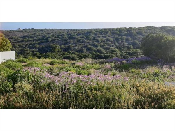 778 m² Land available in Stilbaai