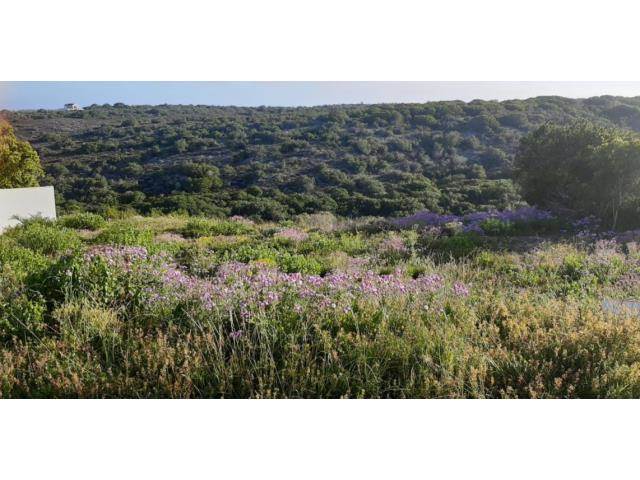 778 m² Land available in Stilbaai photo number 1