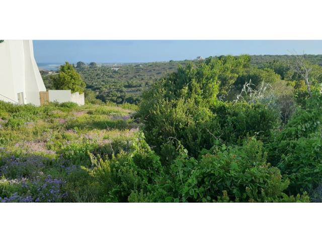 778 m² Land available in Stilbaai photo number 5