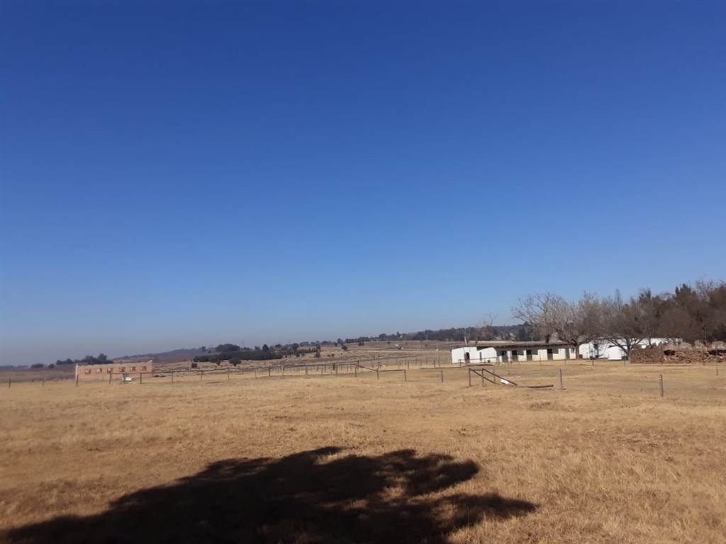 1 ha Land available in Walkerville photo number 3