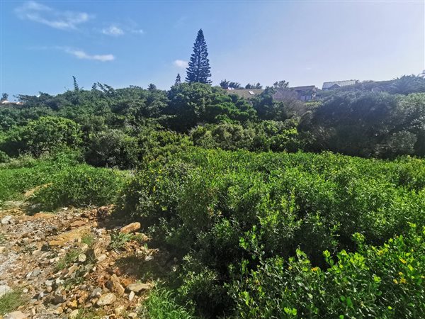 755 m² Land available in Jeffreys Bay