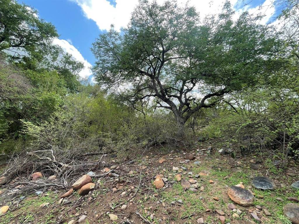 3423 m² Land available in Blyde Wildlife Estate photo number 7