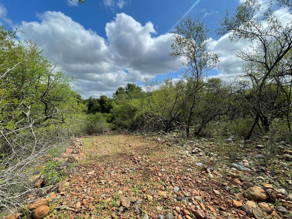 3423 m² Land available in Blyde Wildlife Estate photo number 4