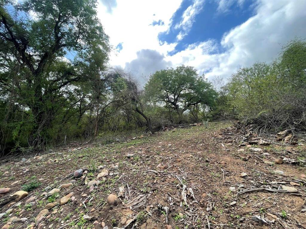 3423 m² Land available in Blyde Wildlife Estate photo number 3