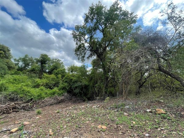 3423 m² Land available in Blyde Wildlife Estate