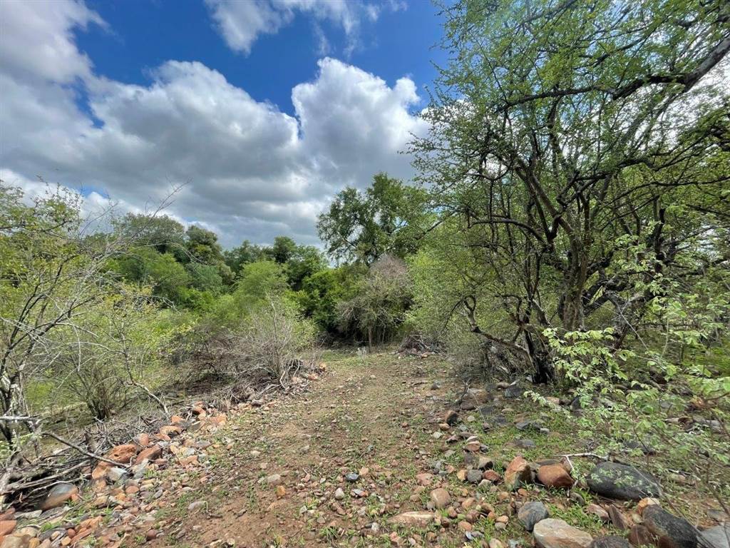 3423 m² Land available in Blyde Wildlife Estate photo number 5
