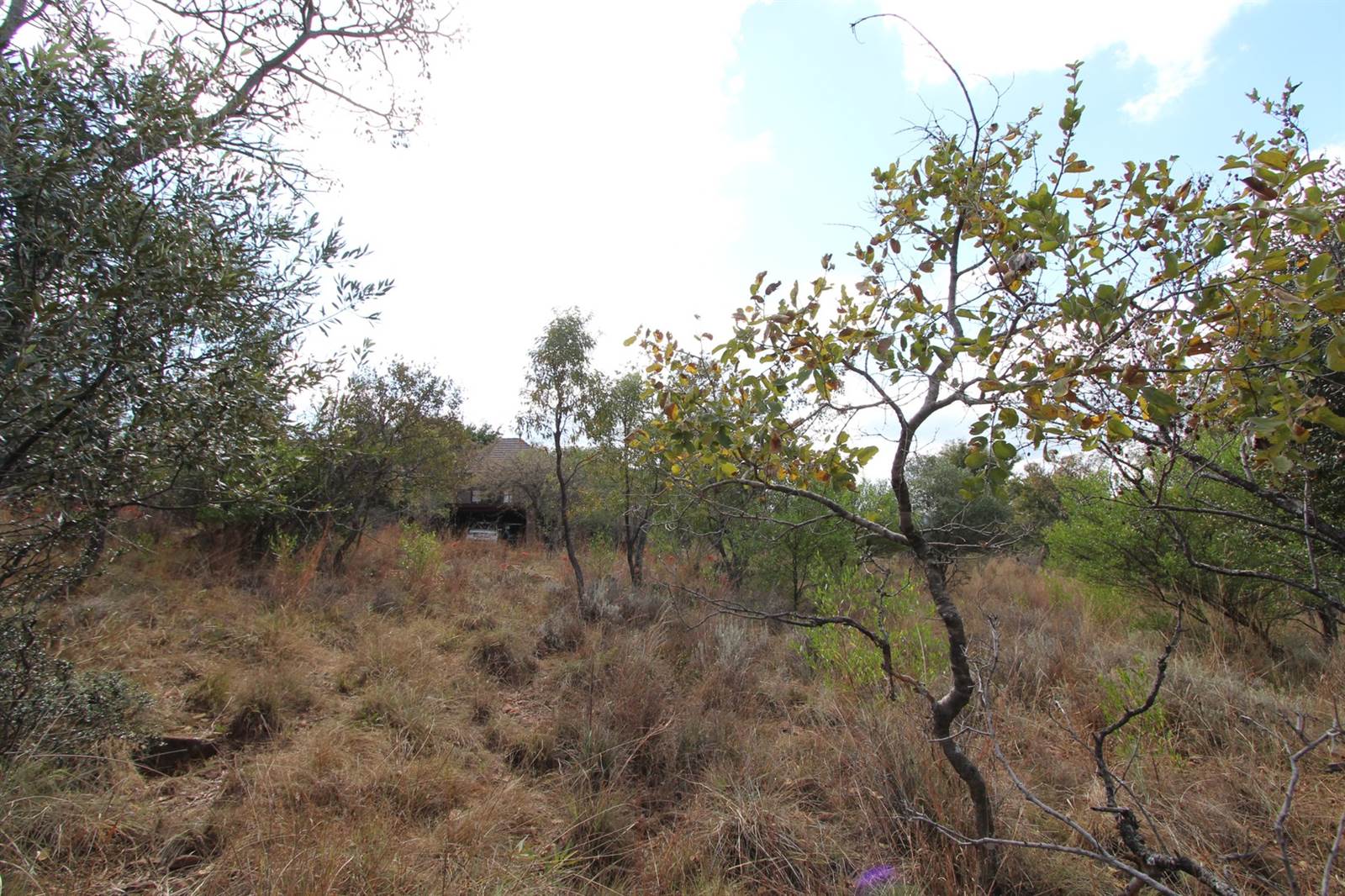 1350 m² Land available in Koro Creek Golf Estate photo number 5