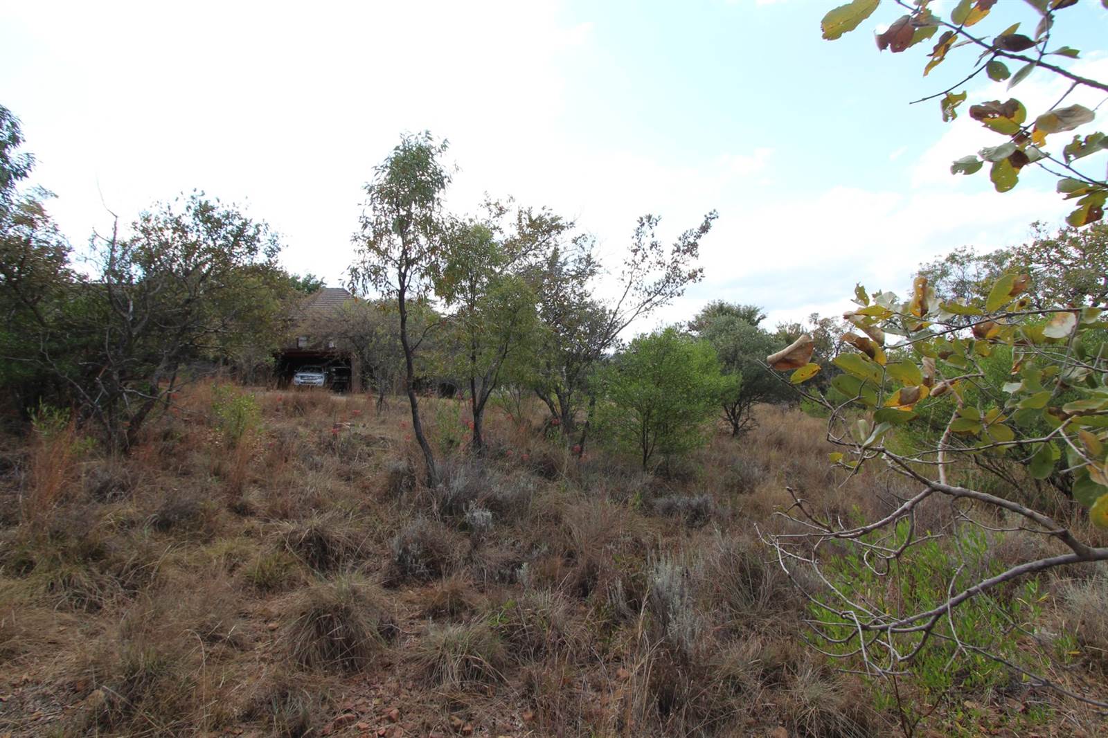 1350 m² Land available in Koro Creek Golf Estate photo number 7