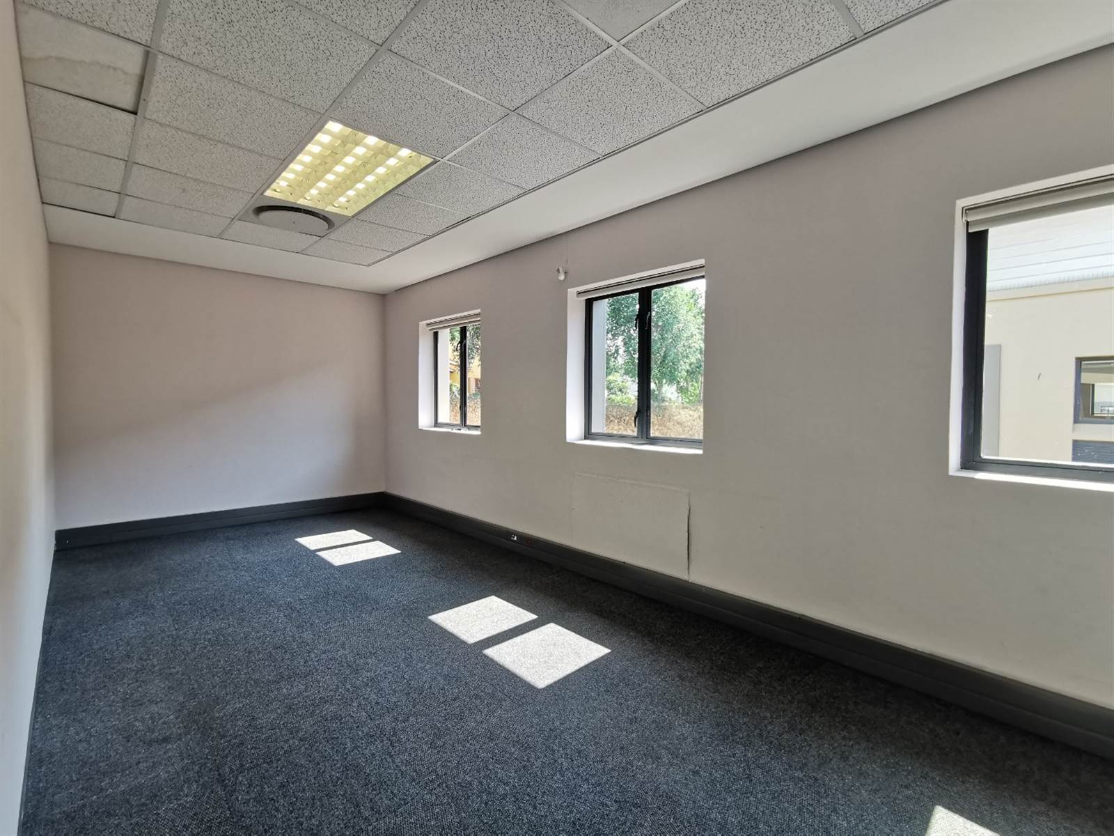 250  m² Office Space in Strubens Valley photo number 8