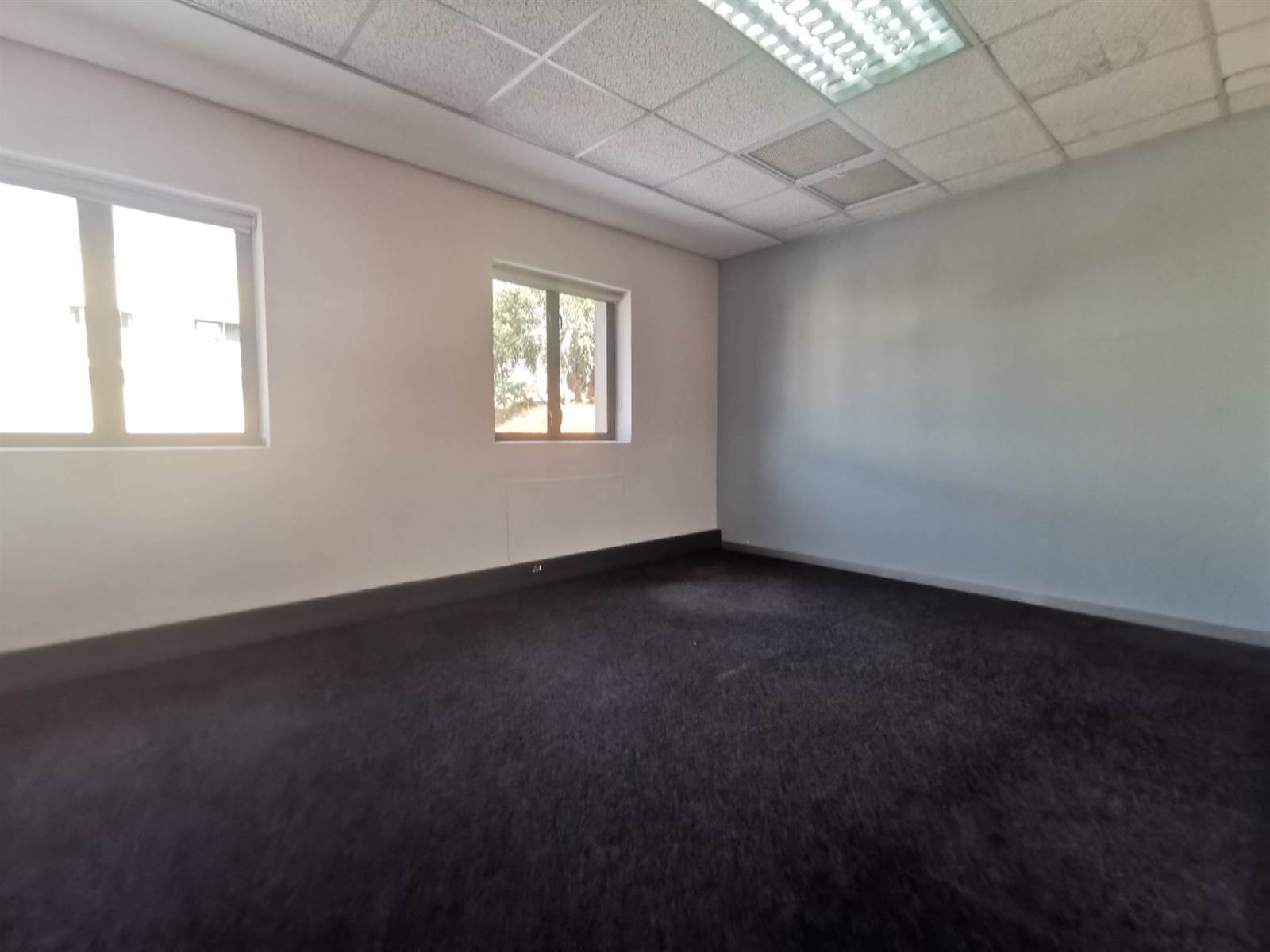 250  m² Office Space in Strubens Valley photo number 3