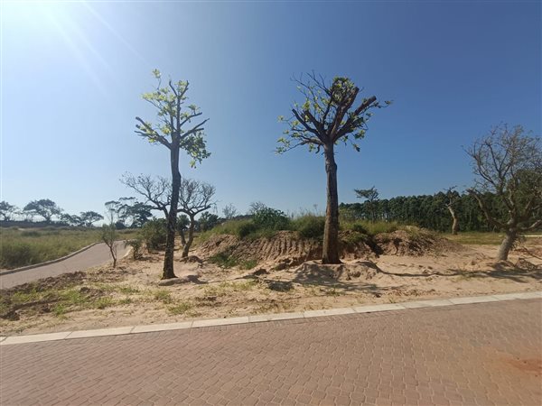 518 m² Land available in Sheffield Beach