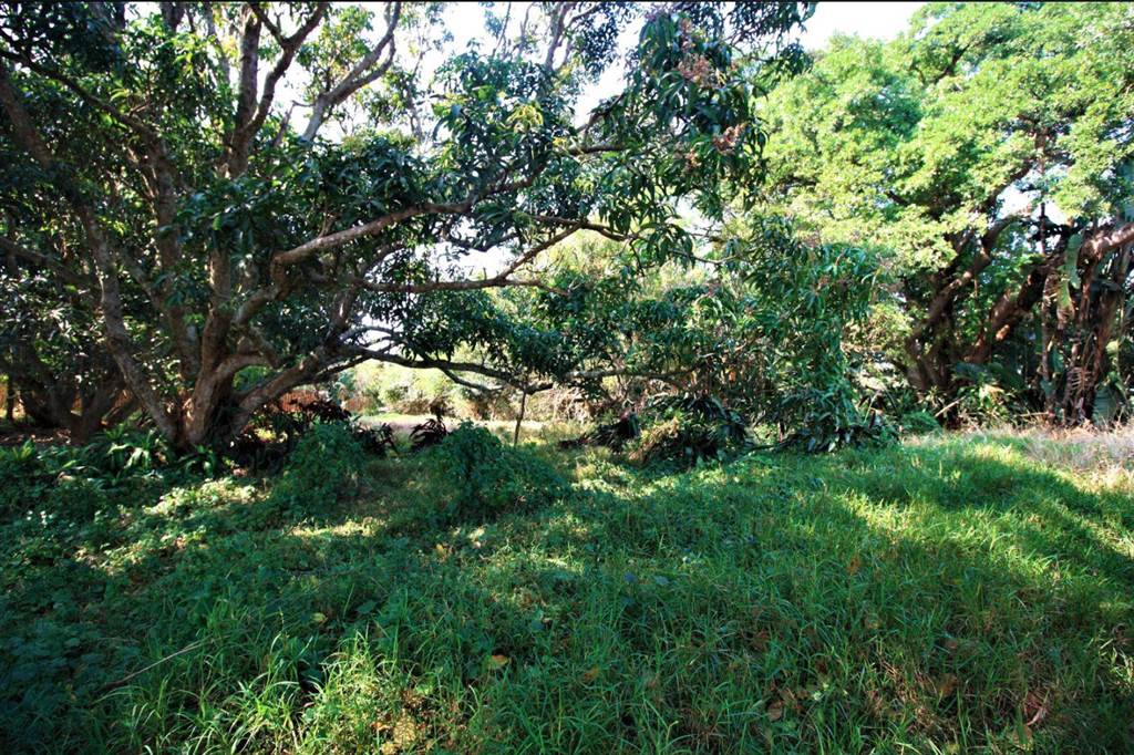 1048 m² Land available in Simbithi Estate photo number 5