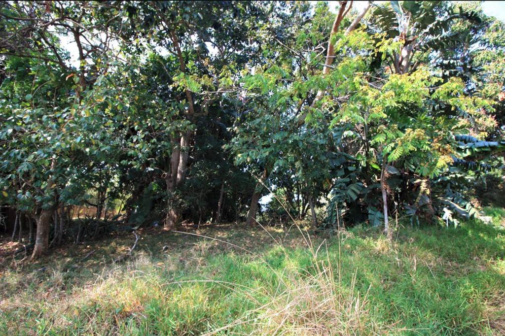 1048 m² Land available in Simbithi Estate photo number 10