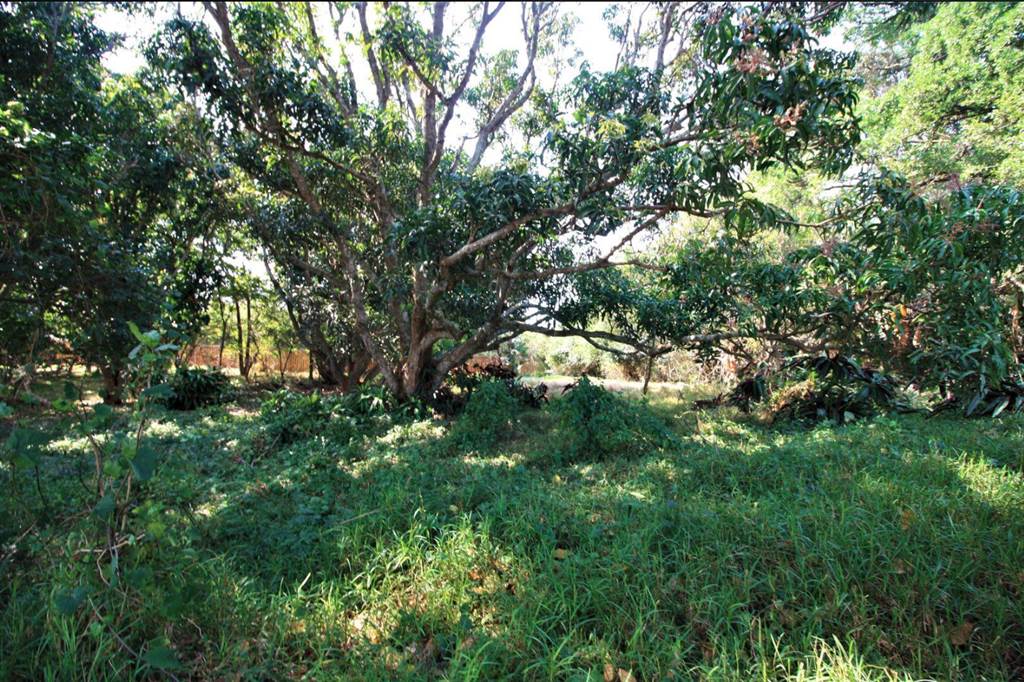 1048 m² Land available in Simbithi Estate photo number 2