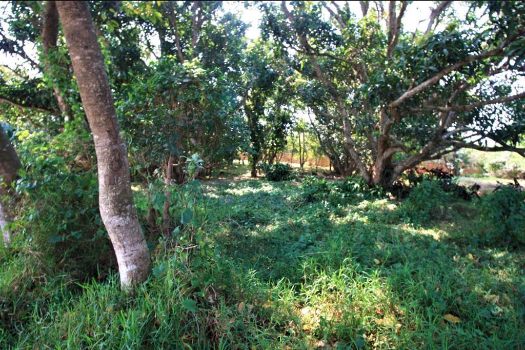 1048 m² Land available in Simbithi Estate photo number 6