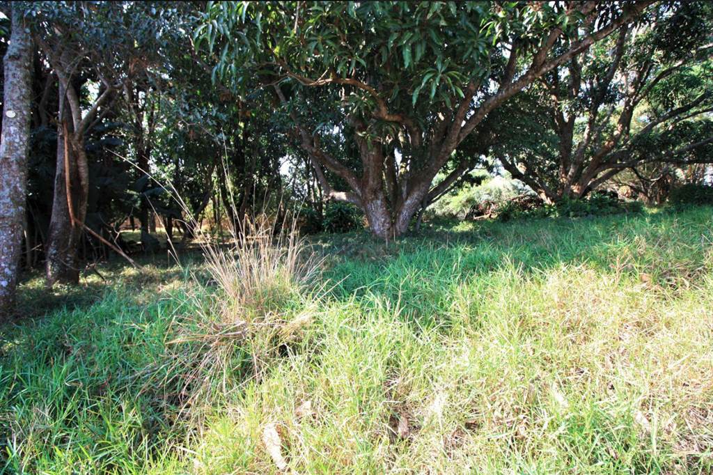 1048 m² Land available in Simbithi Estate photo number 8