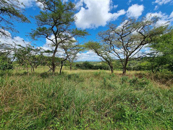 1.5 ha Land available in White River