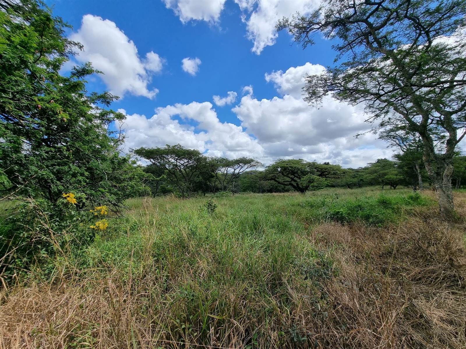 1.5 ha Land available in White River photo number 19