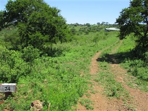 6465 m² Land available in Manderston