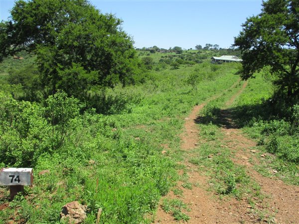 6465 m² Land available in Manderston