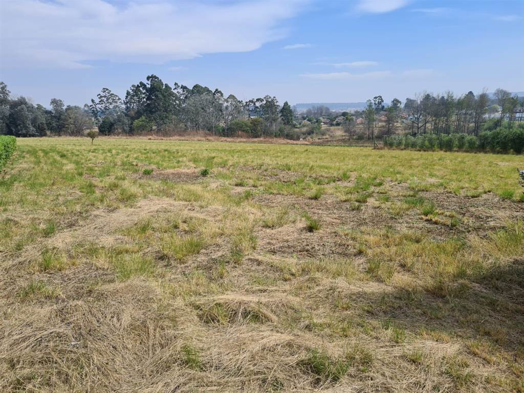 1555 m² Land available in Howick photo number 2