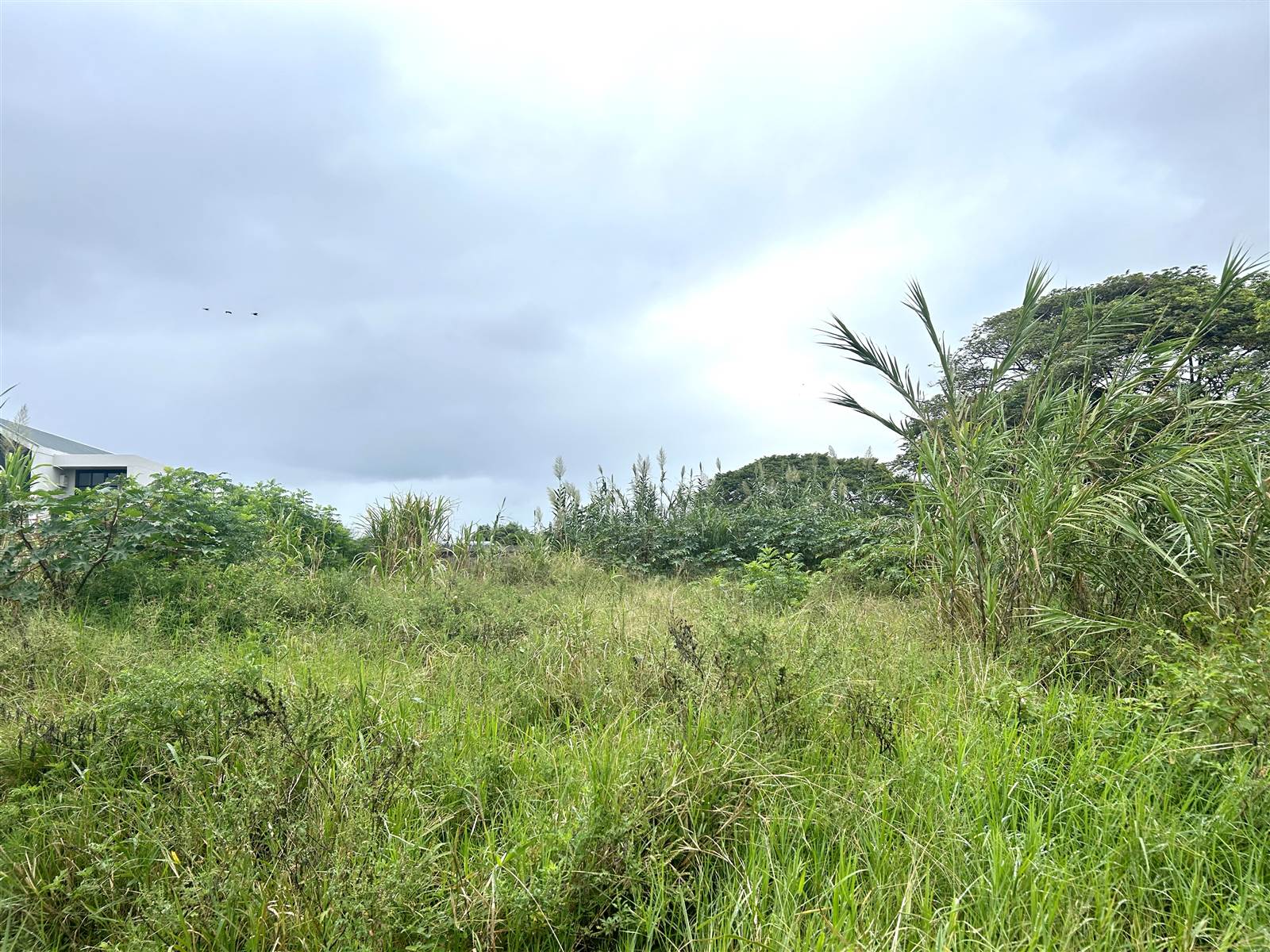 1177 m² Land available in Elaleni Coastal Forest Estate photo number 3